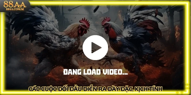 Các cuộc đối đầu diễn ra dày đặc, kịch tính, hấp dẫn hàng ngày