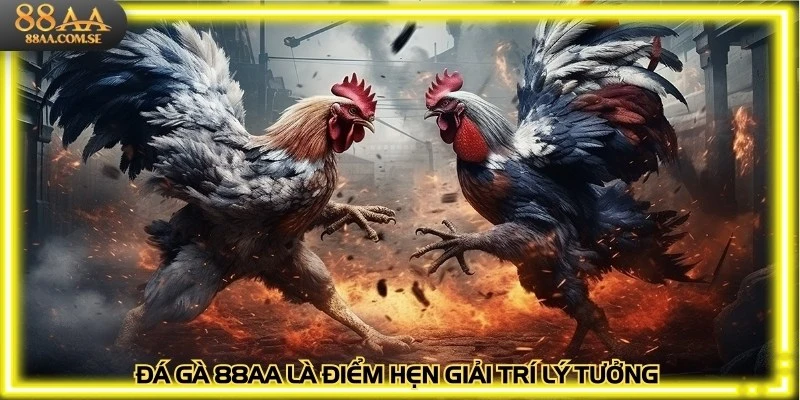 Đá gà 88AA là điểm hẹn giải trí lý tưởng tín đồ cá cược