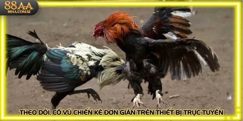 Theo dõi, cổ vũ chiến kê đơn giản trên tất cả thiết bị trực tuyến